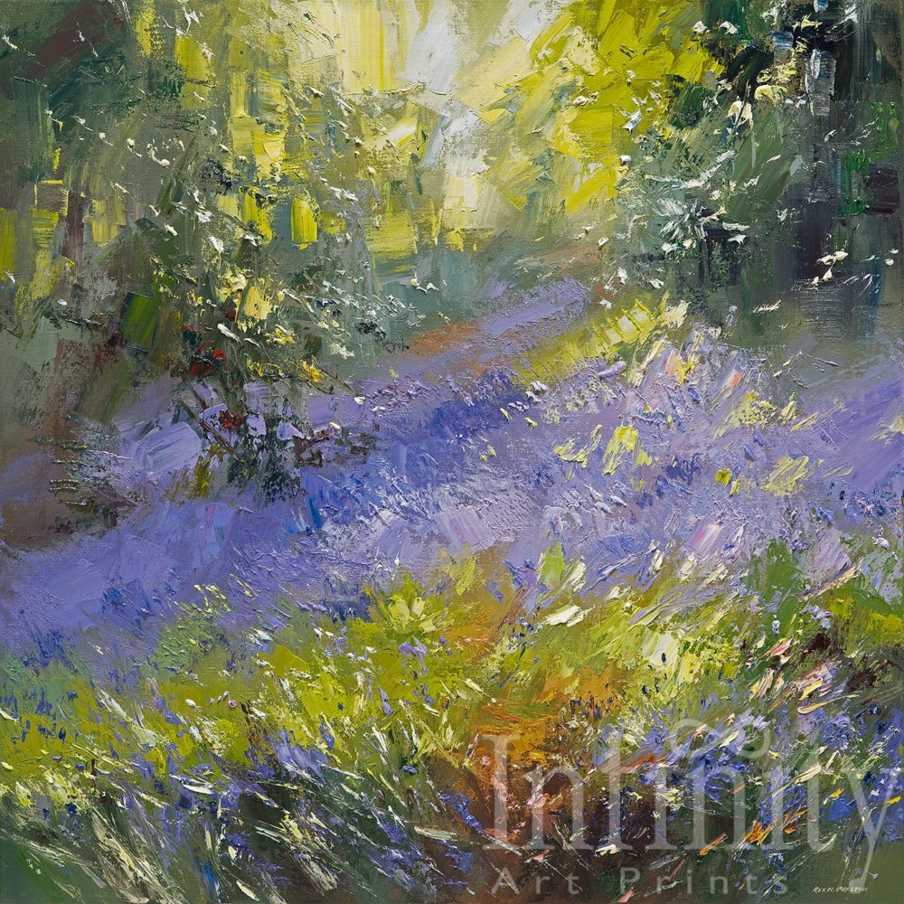 Bluebells, Shining Cliff Woods