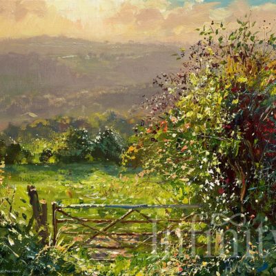 September Evening, Ashleyhay - Mark Preston