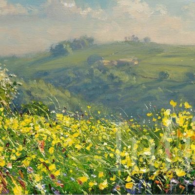 May Flowers, Bonsall Moor - Mark Preston