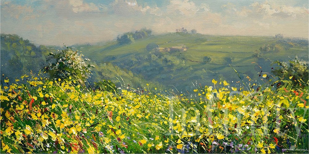 May Flowers, Bonsall Moor - Mark Preston