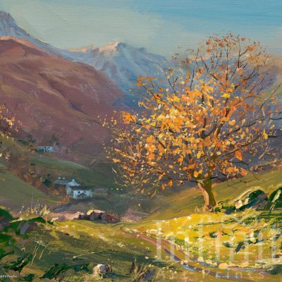 November Sunlight, Little Langdale - Mark Preston