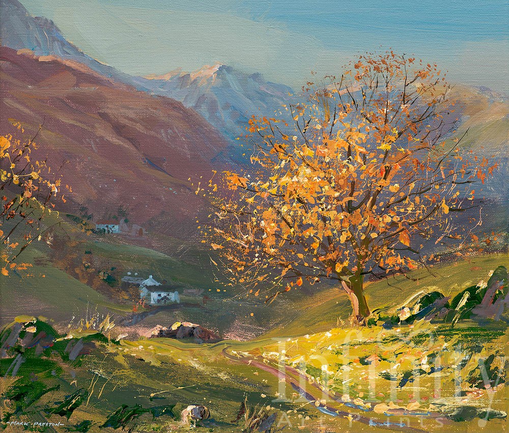 November Sunlight, Little Langdale - Mark Preston