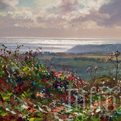 Silver Sea and Fuchsia, Penwith - Mark Preston